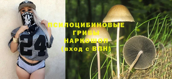 а пвп мука Аркадак